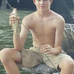 Meet your Posher, Austin